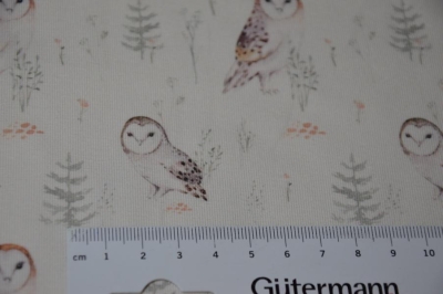 Jersey Eulen / Owls natur